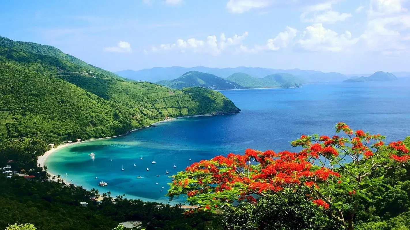 智能化高效